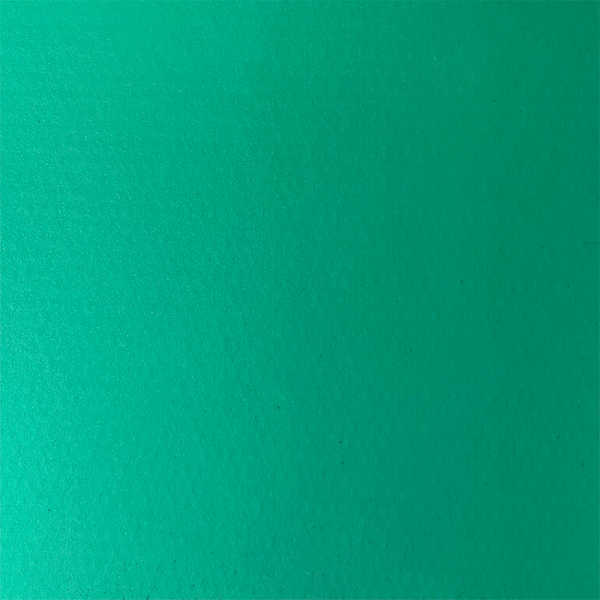 Bagum e Bagunzito Bagun Verde Bebê