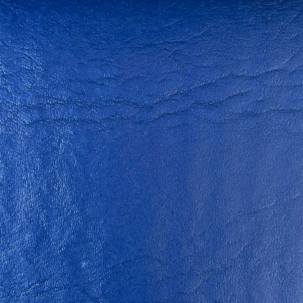 Corino Búfalo 11 Azul Royal