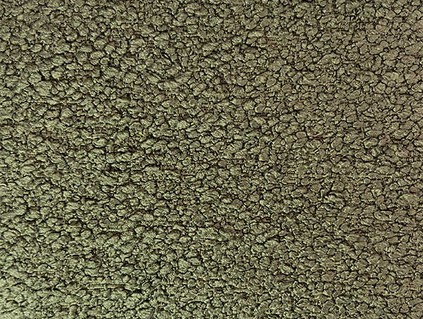 Trentino Boucle Cesare 1818 cor 47 Musgo